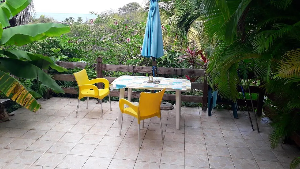 Studio Avec Vue Sur Mer A Marigot 30 M² Jardin Apartment